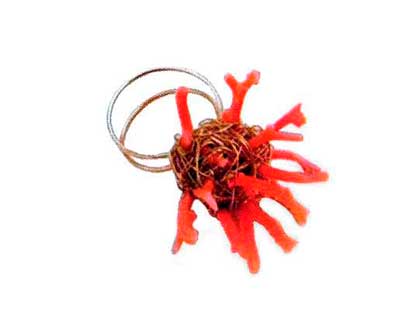 anel de coral - tatiana potrich